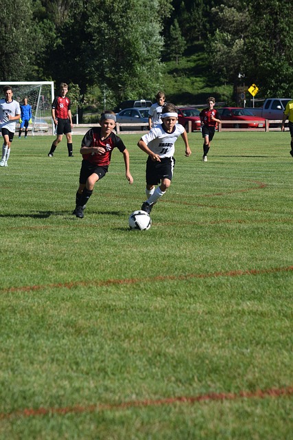 我爱曼联但 我爱曼联但