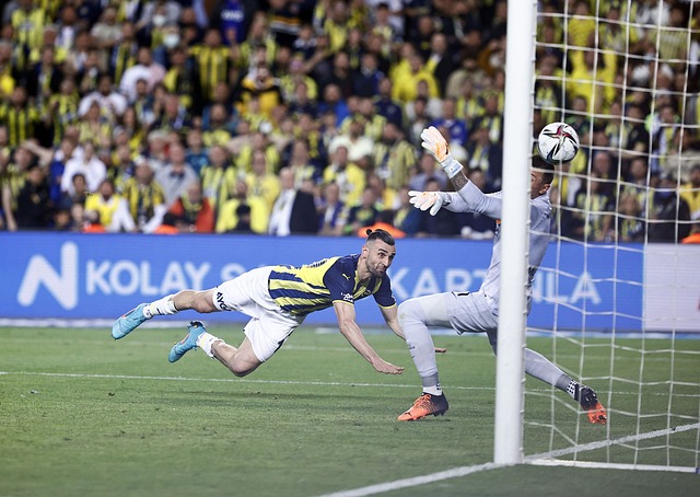 作为这类大 作为这类大