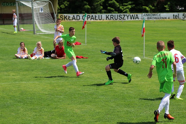 上足球職業 上足球職業